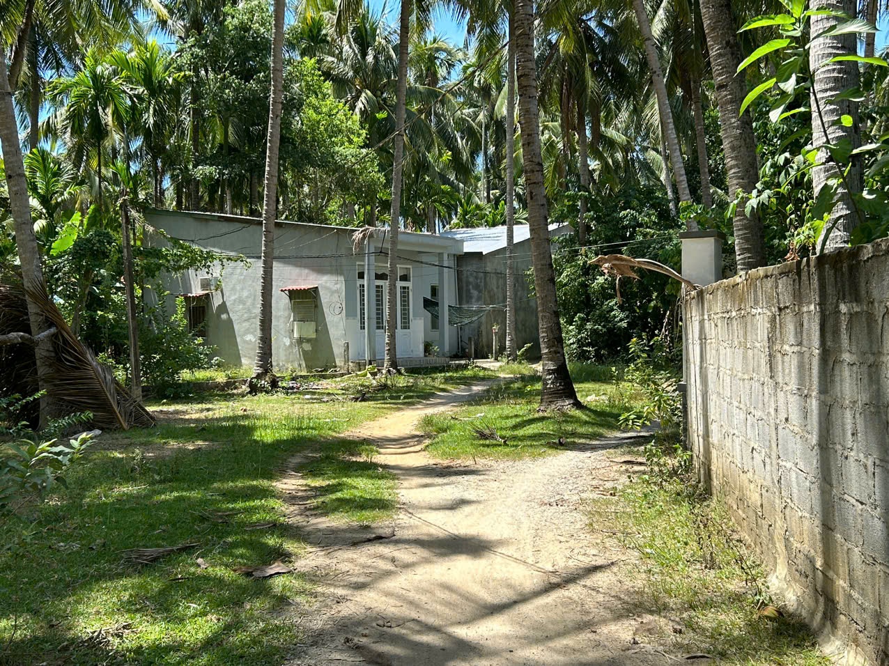nhà vườn trung tam phường Tam Quan